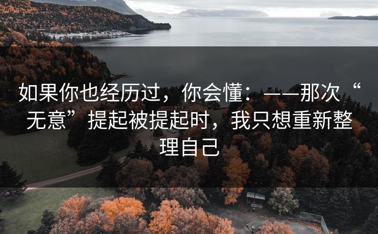 如果你也经历过，你会懂：——那次“无意”提起被提起时，我只想重新整理自己
