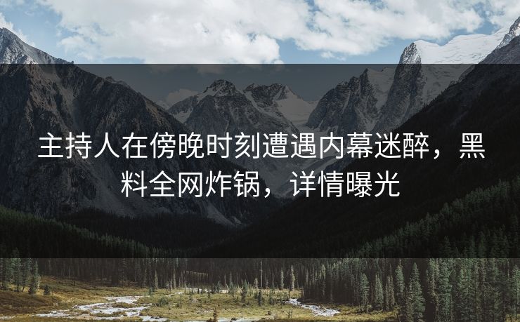 主持人在傍晚时刻遭遇内幕迷醉,黑料全网炸锅,详情曝光