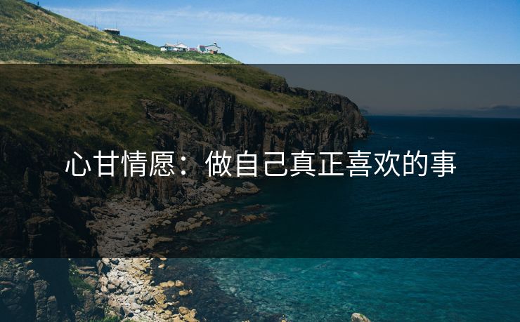 心甘情愿：做自己真正喜欢的事